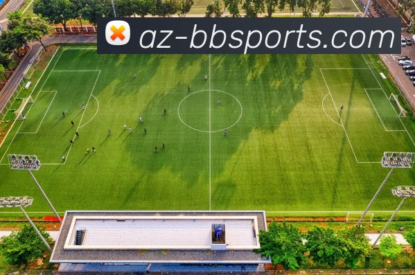 BBSport体育投注平台平台生态图